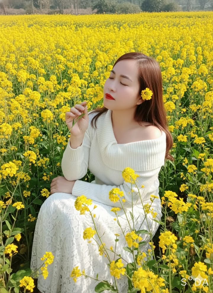 Đất nền TDP Bó Bun, Huyện Mộc Châu 200m² giá 3 tỷ - Cơ hội đầu tư tuyệt vời!