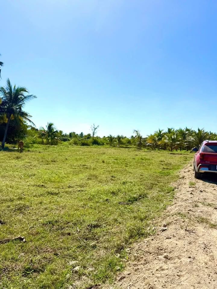 Đất cây trồng 1200m² xã Hàm Chính giá chỉ 450 triệu - Cơ hội đầu tư tuyệt vời!