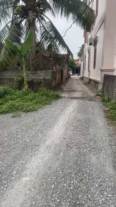 Đất đấu giá khối 11 Cầu Giát, 187m² chỉ 1 tỷ - Cơ hội đầu tư hấp dẫn!