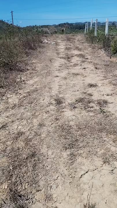 Đất nông nghiệp tại xã Đạ Tông, huyện Đam Rông - 2160m² giá 700 triệu - Gần khu dân cư!