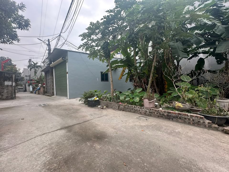 Đất nền lô góc 44m² tại Tiên Dương, Đông Anh - Giá thỏa thuận hấp dẫn!