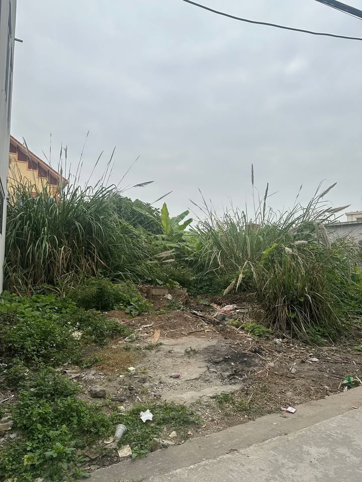 Đất chính chủ đường 361 Bàng La - Đồ Sơn 123.8m² giá 2.166 tỷ - Đầu tư sinh lời lý tưởng!