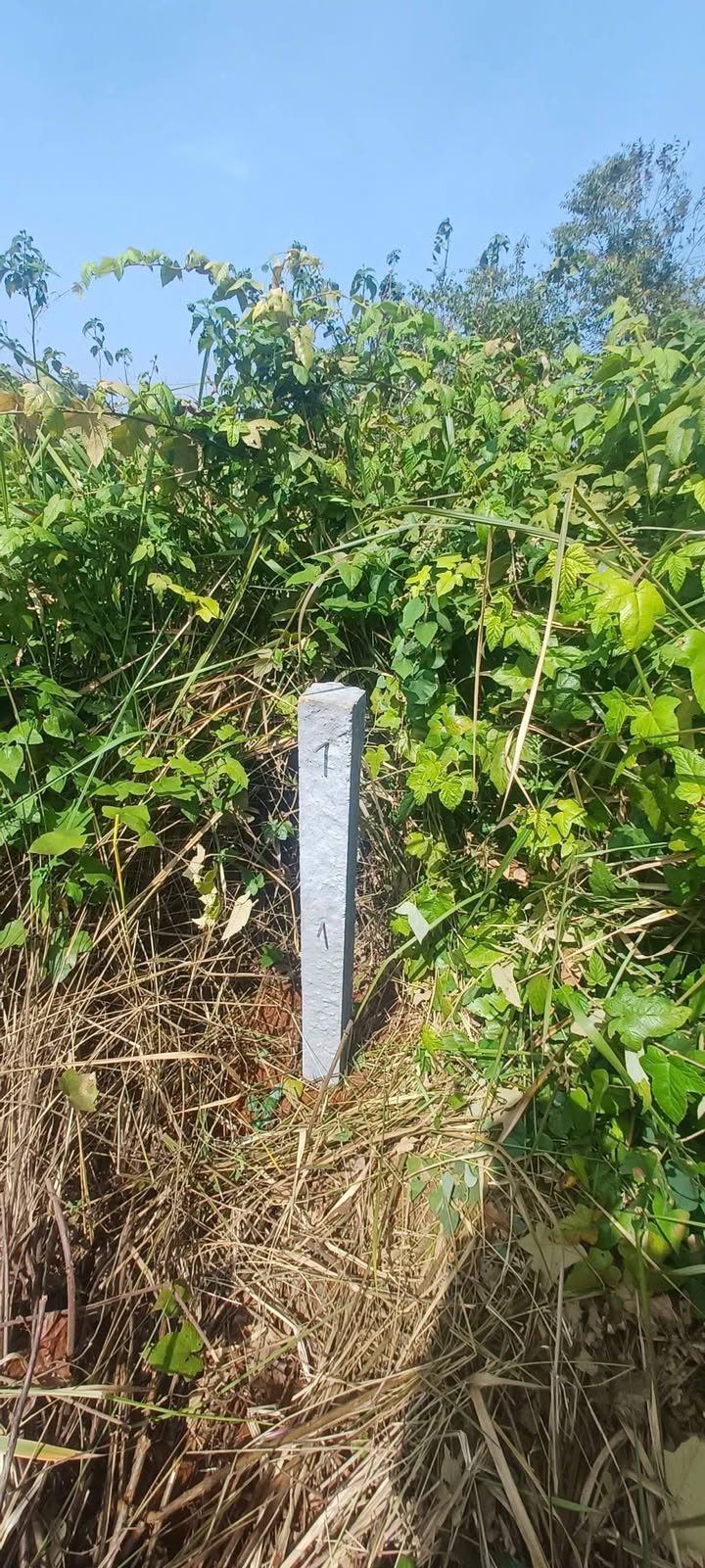 Đất nền mặt tiền Quốc lộ 28, Gia Nghĩa, 2667m² giá 75 triệu/m² - Cơ hội đầu tư tuyệt vời!