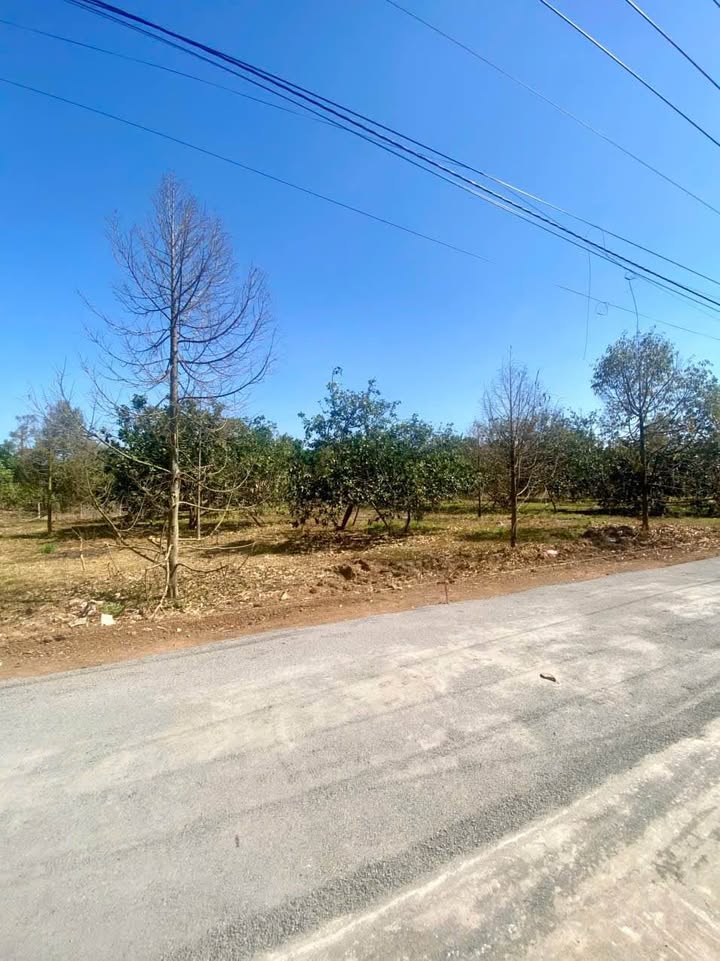 Đất nền đẹp tại Bình Lộc, Long Khánh 140m² giá 1.199 tỷ - Sổ đỏ chính chủ