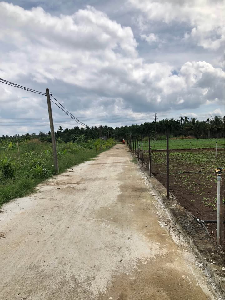 Đất thổ cư 80m² tại Hòa Phú, Buôn Ma Thuột chỉ 850 triệu - Vị trí đẹp, đông dân cư!