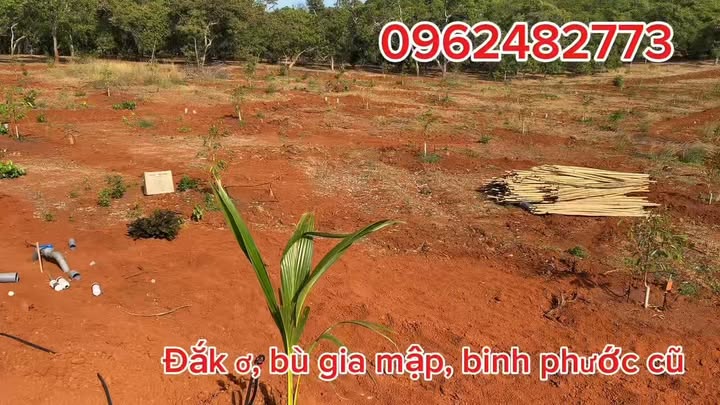 Đất Farm 20.000m² tại Đak Ơ, Bình Phước - Đầu tư sinh lời chỉ 1.35 tỷ!