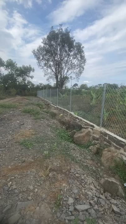 Bán Đất Vườn Trảng Bom 4000m² Sổ Hồng Riêng, Gần Nguyễn Hoàng