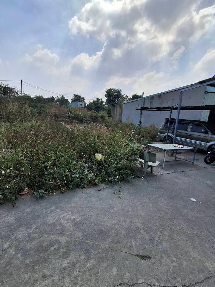 Đất nền Phường Tân Hạnh 85m² giá chỉ 500 triệu - Sổ đỏ chính chủ