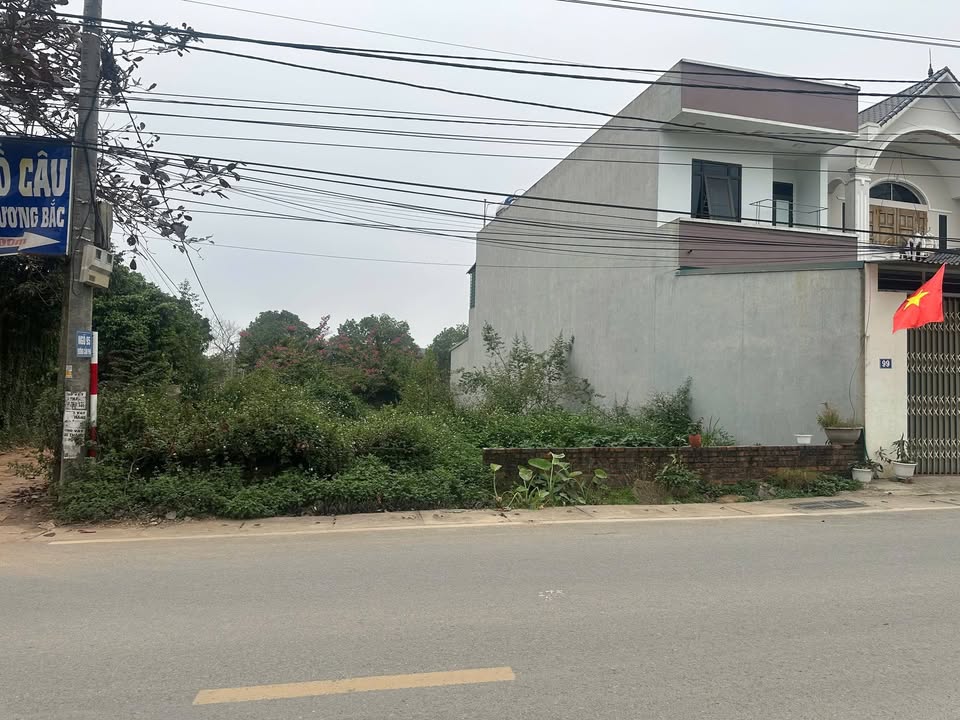 Đất nền đẹp tại Xã Tản Lĩnh, Huyện Ba Vì, 321m² - Lô góc 2 mặt tiền hiếm có!