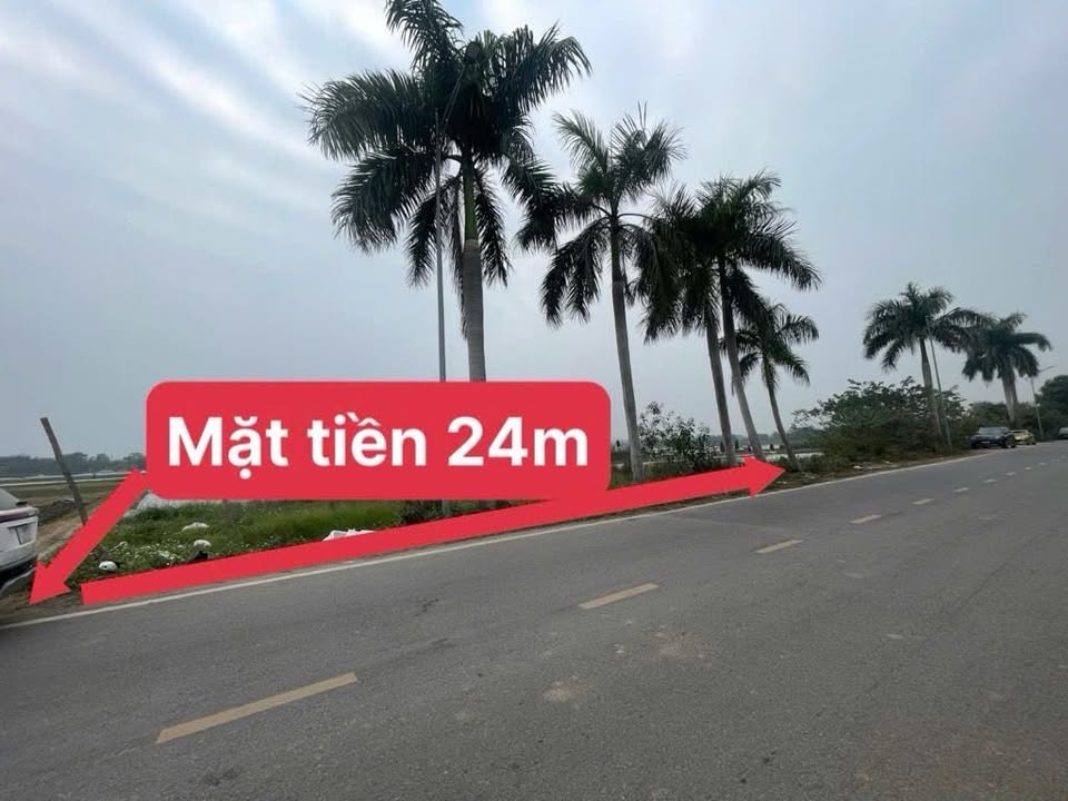 Đất sản xuất nông nghiệp 618m² tại Nam Hồng, Đông Anh - Lô góc đẹp, giá tốt!