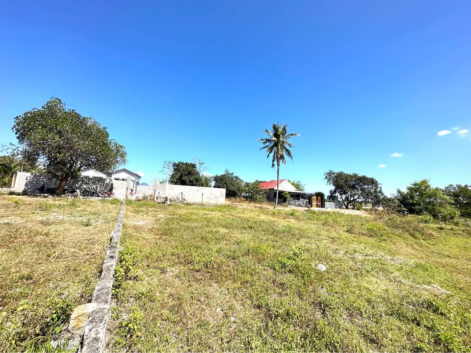 Đất nền Suối Tiên 321m² giá 1.605 tỷ - Cơ hội đầu tư tuyệt vời!