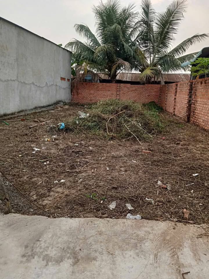 Đất nền Mỹ Hạnh Nam, 124m² giá 1.35 tỷ - Sổ đỏ chính chủ, thương lượng ngay!