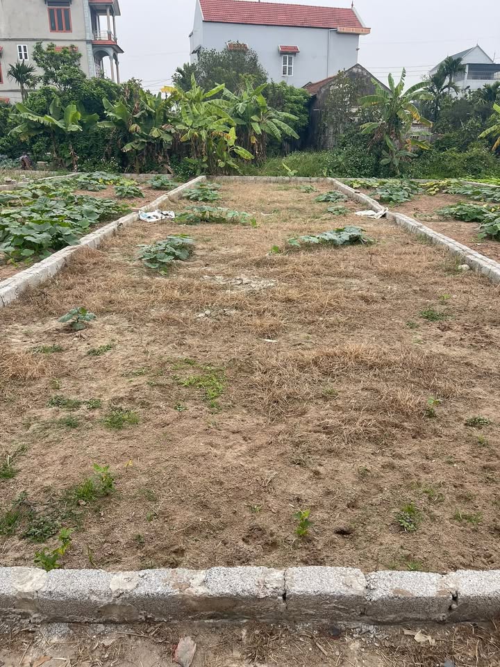 Đất nền Chương Dương, Thường Tín 99.3m² - Sổ đỏ sẵn sàng, tiềm năng tăng giá