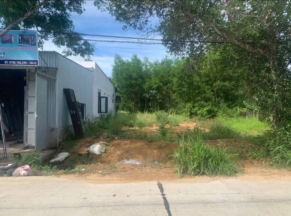 FrontHouse tại Tịnh Bình, Sơn Tịnh, 250m² giá 700 triệu - Biệt thự mini đẹp mắt!