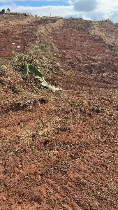 Bán Gấp Farm 14ha Mặt Tiền Lương Thế Vinh, Tuy Hòa - Sẵn Sàng Đầu Tư