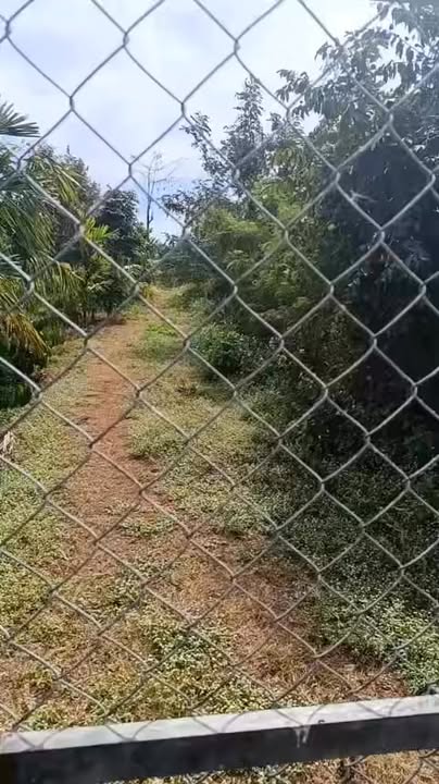 Đất nông nghiệp thôn 4 Draybhang 70.000m² giá 1.8 tỷ - Sổ đỏ chính chủ