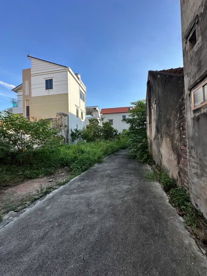 Đất nền tại xã Hà Hồi, Thường Tín 46,9m² giá 4 tỷ - Đầu tư sinh lời hấp dẫn!