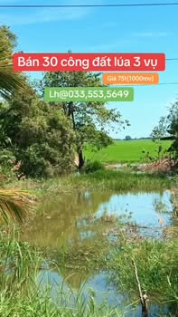 Đất nông nghiệp Tân Hưng, Tây Ninh 30.000m² giá 2.7 tỷ - Tiềm năng đầu tư lớn!