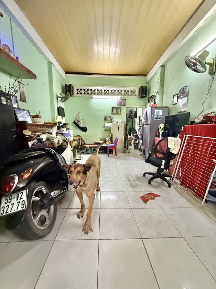 Nhà phố Đỗ Thừa Luông, Tân Phú 40m² giá 4.3 tỷ - Vị trí đẹp gần chợ