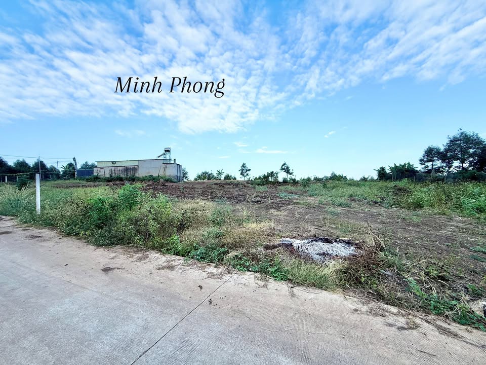 Bán Gấp 3100m² Đất Vườn Bàu Sen, Long Khánh - View Đồi Núi, Sẵn Sổ Hồng