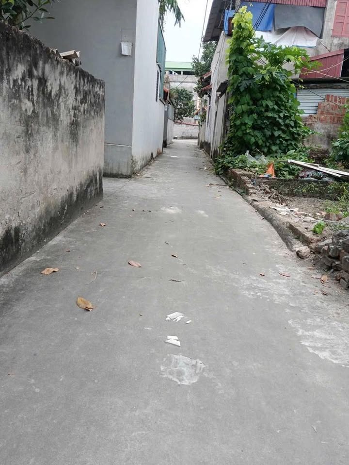 Đất nền Hưng Yên 51m² - Sổ đỏ sẵn sang, giá 1 tỷ