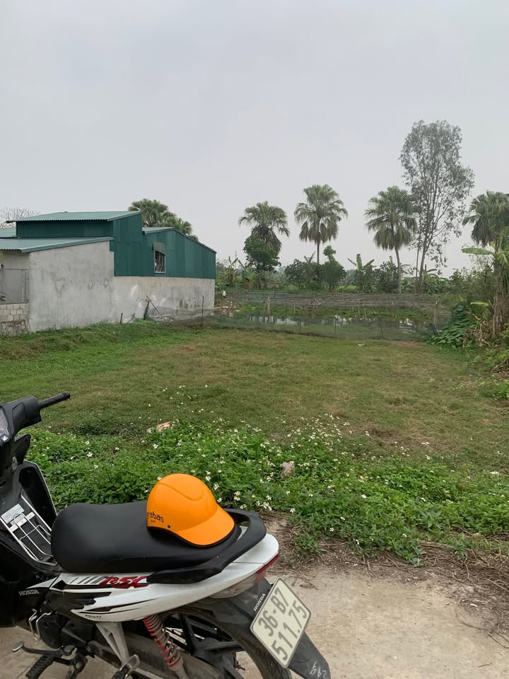 Đất thổ cư Xã Quảng Định 87m² giá chỉ 479 triệu - Cơ hội đầu tư hấp dẫn!