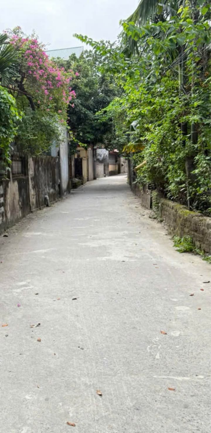 Đất nền Phường Ninh Khánh 53m² giá 1 tỷ - Tiện ích đỉnh cao gần phố cổ!