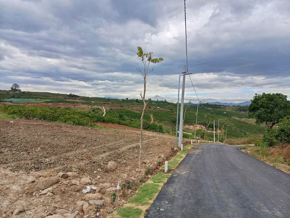 Đất thổ cư 260m² mặt tiền đường nhựa tại Đức Trọng - Chỉ 490 triệu!