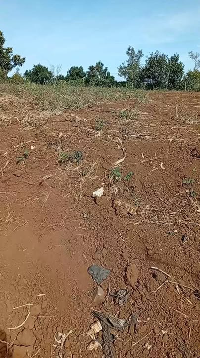 Đất nền đẹp 240m² tại xã Tân Hội, Đức Trọng - Giá chỉ 650 triệu!