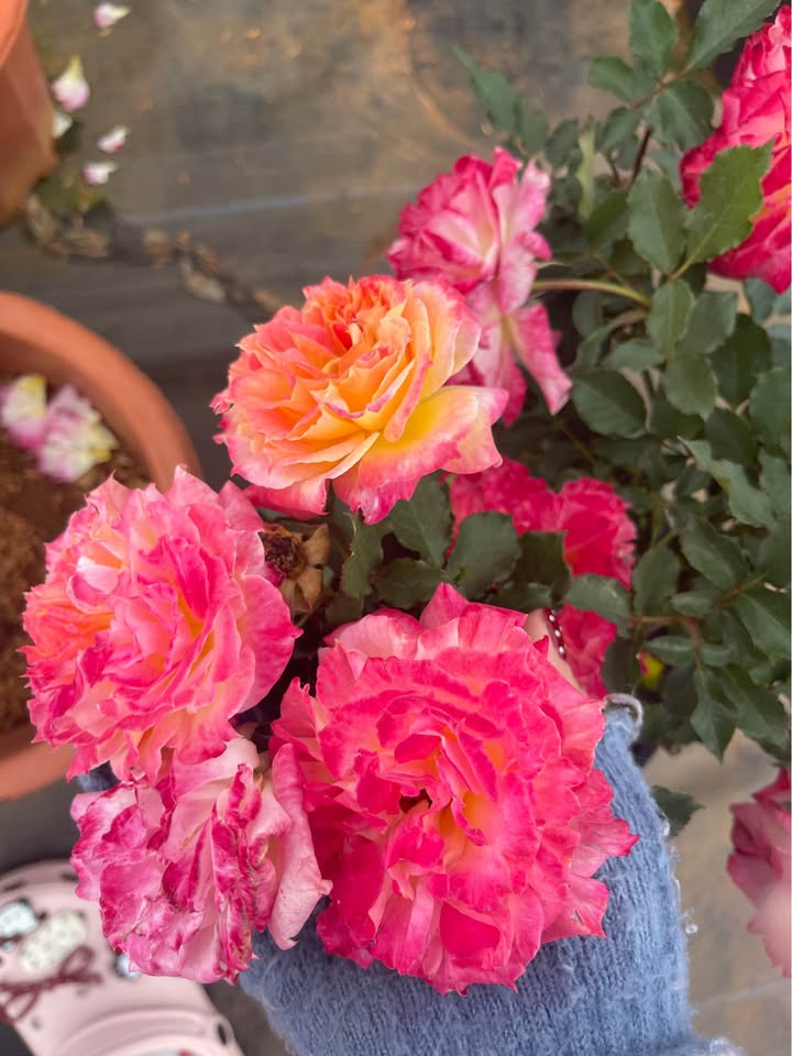 Đất nền Hiệp Thạnh 300m² giá chỉ 1.3 tỷ - Sổ hồng riêng chính chủ!