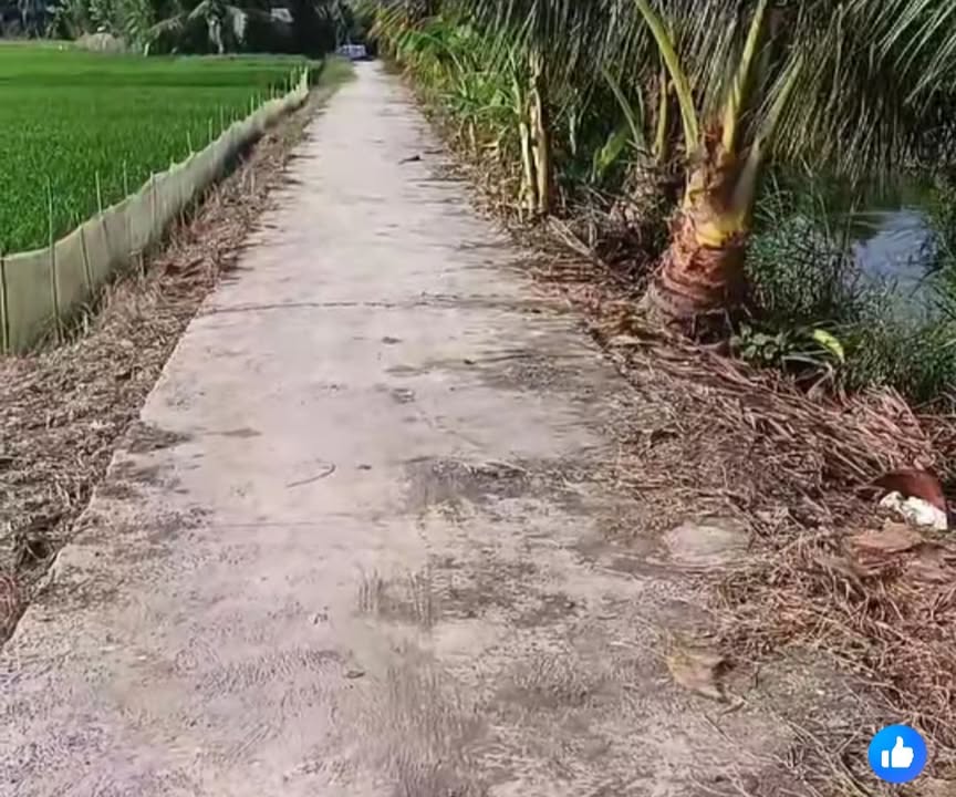 Đất ruộng 14.000m² tại Ấp 2, Cầu Kè, Trà Vinh chỉ 2.52 tỷ - Cơ hội đầu tư hấp dẫn!