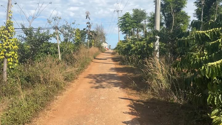 Đất Nền Nâm Nung Krông Nô 75tr/m - Tặng Vàng 9999 Nghỉ Tết!