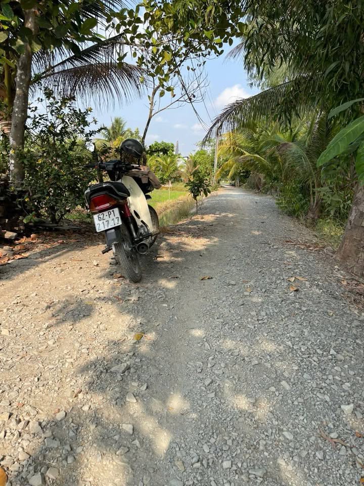 Bán Gấp Đất Vườn 280m² Mặt Tiền Đường Đá Xanh, Đức Hòa - Giá 1.1 Tỷ