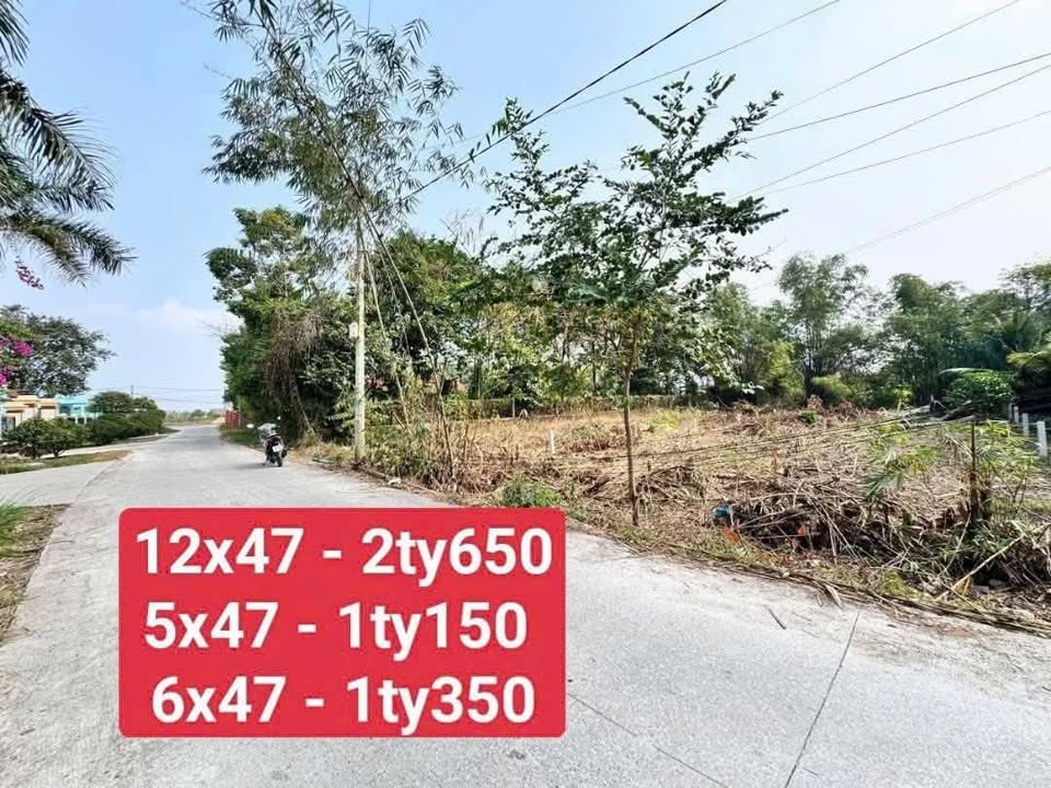 Đất nền Hòa Khánh Đông 560m² giá chỉ 1.15 tỷ - Cơ hội đầu tư hấp dẫn!