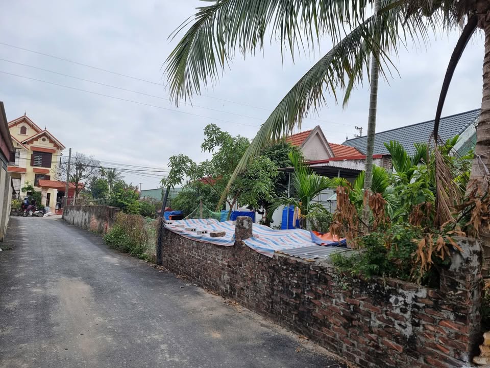 Đất nền TDP Trung Nghĩa, Đồ Sơn 68m² giá chỉ 1.6 tỷ - Cơ hội vàng cho nhà đầu tư!