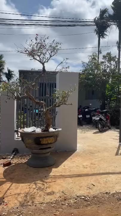 Nhà cấp 4 mặt tiền đường Tô Hiệu, An Lạc, 100m² - Bán gấp chỉ 2.25 tỷ!