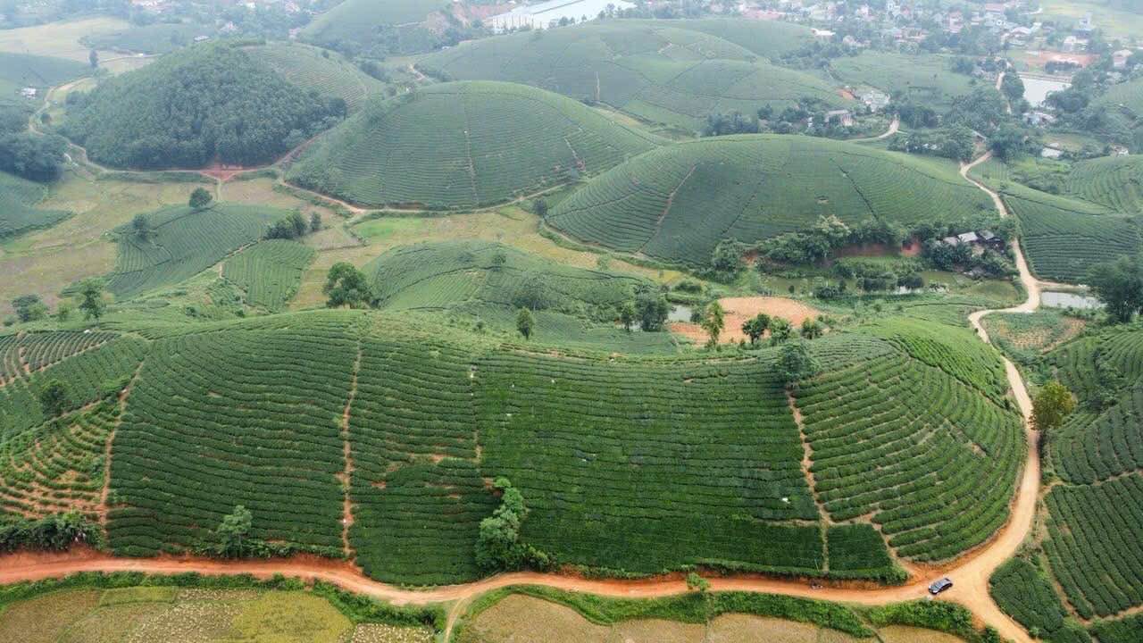 Đất Nền Nghỉ Dưỡng Long Cốc, Phú Thọ - 2000m² CLN Sẵn Sàng