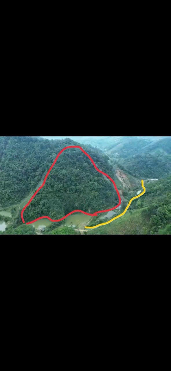 Farm 1ha tại Xuân Dương, Na Rì - Giá 1 tỷ, đất màu mỡ sắp thu hoạch!