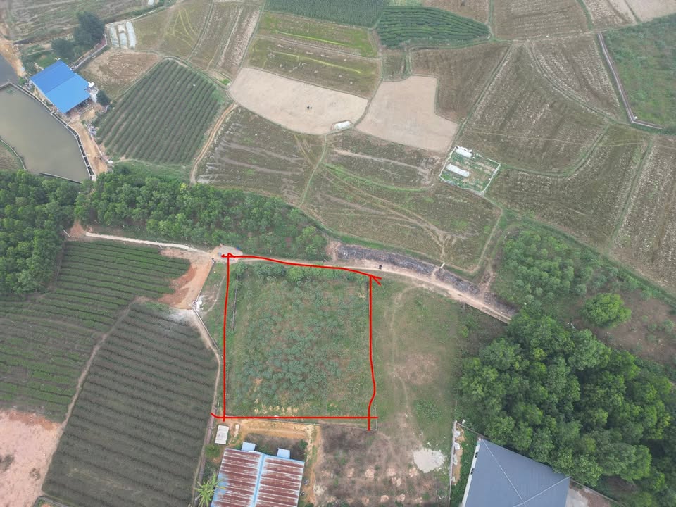 Đất nền 700m² tại Phổ Yên, Thái Nguyên chỉ 1 tỷ - Cơ hội đầu tư tuyệt vời!