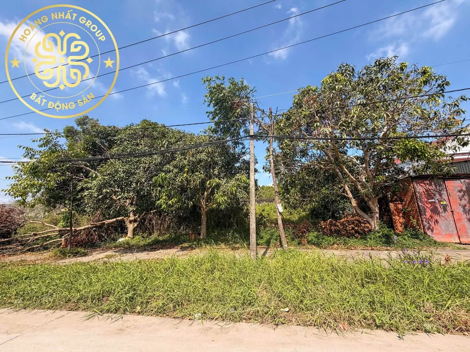 Đất nền góc 2 mặt tiền Đường Mậu Thân, Cà Mau 520m² - Tiềm năng kinh doanh tuyệt vời!