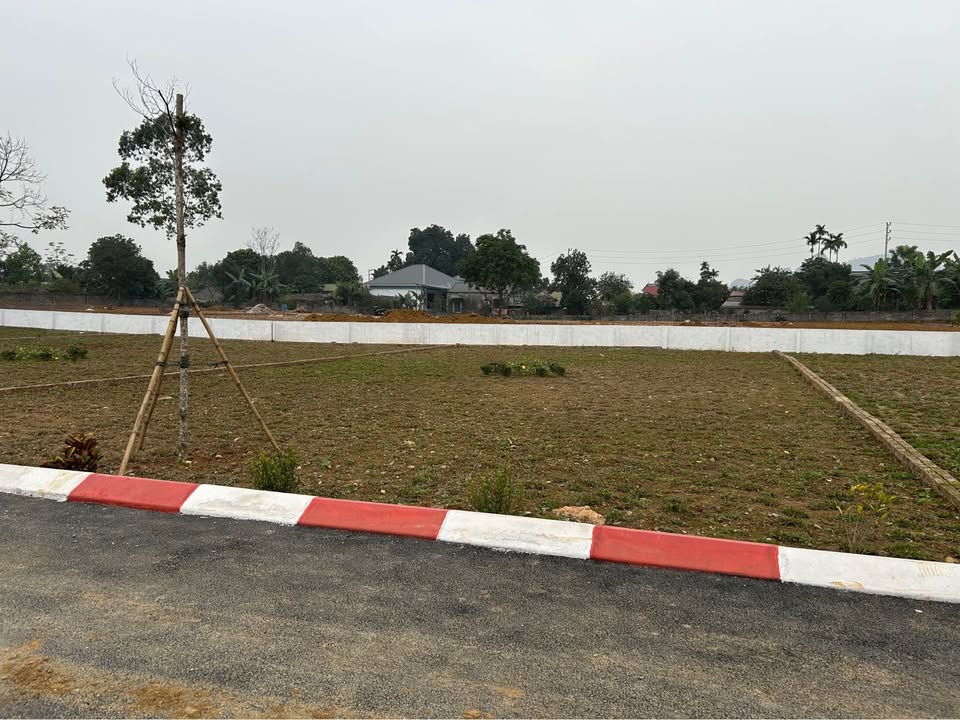 Đất nền Cư Yên Lương Sơn 505m² giá 2 tỷ - Sổ đỏ chính chủ, hạ tầng hoàn thiện!