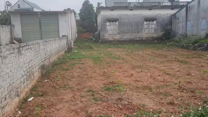 Lô đất đẹp TDP Nguộn Ngoài, phường Chũ 387m² - Pháp lý rõ ràng, đầu tư sinh lời!