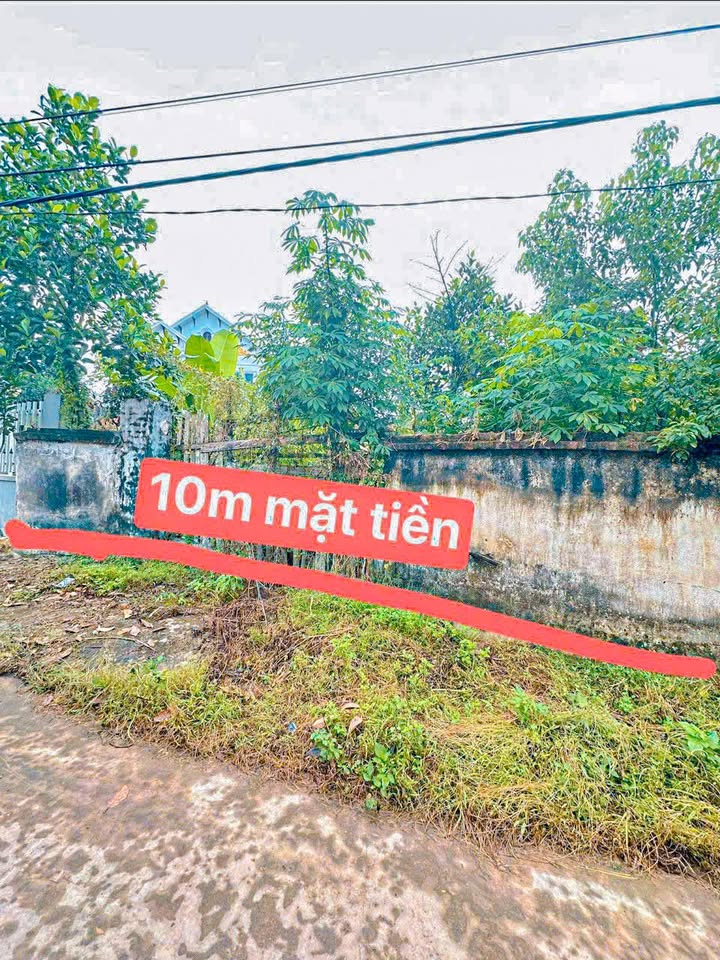 Đất nền Bảo Sơn, Lục Nam 300m² giá chỉ 800 triệu - Cơ hội đầu tư hấp dẫn!