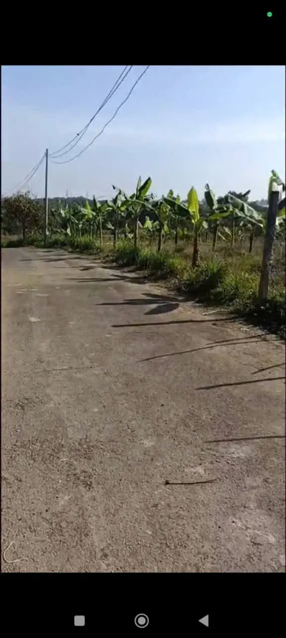 Đất thổ cư tại thôn 1 Tân Lạc 768m² giá 1.05 tỷ - View thoáng đẹp lý tưởng nghỉ dưỡng!