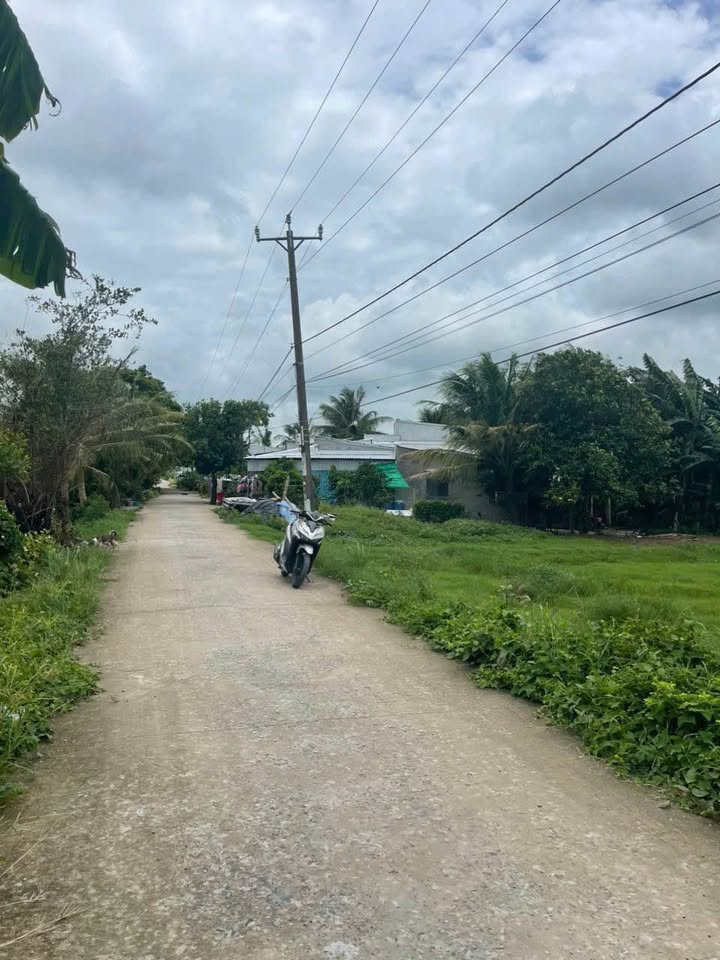 Đất nông nghiệp Xã Định Mỹ Thoại Sơn 5.937m² giá 1.8 tỷ - Đầu tư sinh lời ngay!