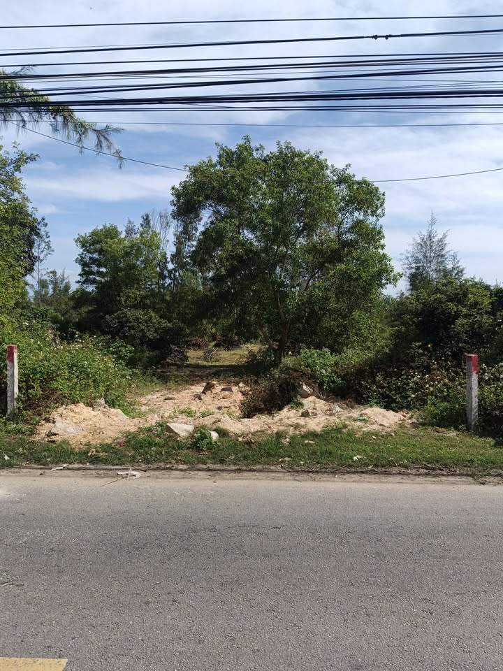 Đất nền đầu tư tại Đường Thanh Niên, thôn Bình Tịnh, 165m² - Giá tốt khu vực gần biển!