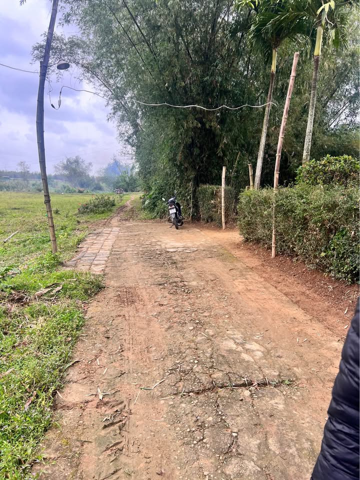 Đất nền Hòa Bắc, Đà Nẵng 140m² giá 400 triệu - Đầu tư sinh lời tiềm năng!