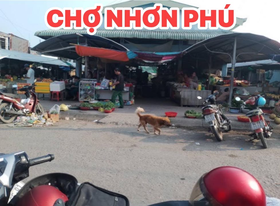 Đất nền Nhơn Phú, Vĩnh Long 95m² giá 320 triệu - Cơ hội đầu tư tuyệt vời!