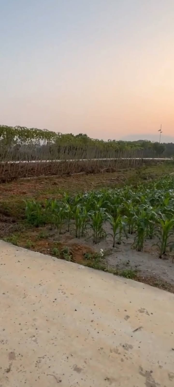 Đất nền Xã Tu Vũ, Huyện Thanh Thủy 150m² - Đầu tư sinh lời chắc chắn!