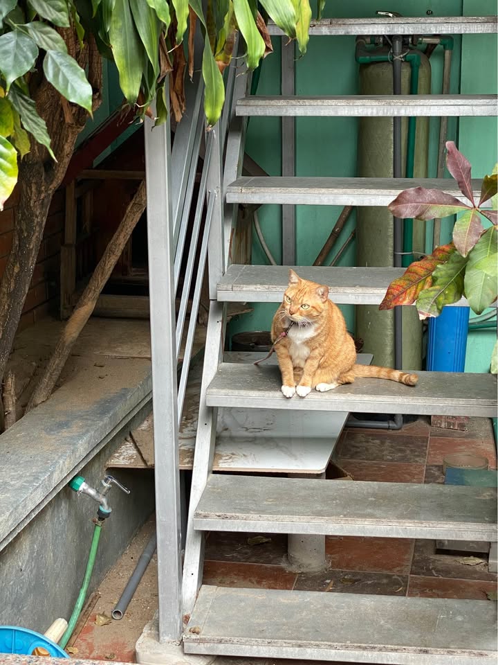 Nhà phố Minh Khai 35m² giá 6 tỷ - Gần nhiều trường đại học lớn!